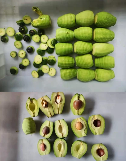fruit pitting machine